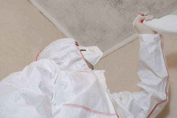 Mold Odor Removal Services in Woodway, TX